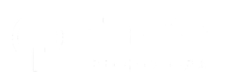 Finax Logo